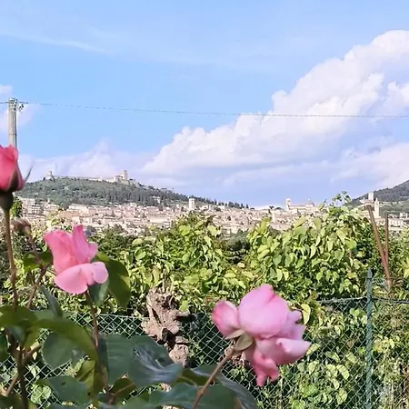 بيت للعطل A Casa Di Alice Assisi سانتا ماريا ديلي آن